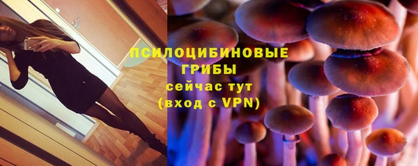 меф Арсеньев
