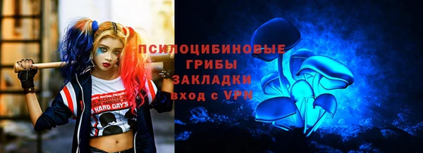 меф Арсеньев