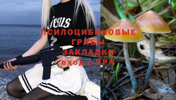 крисы Армянск