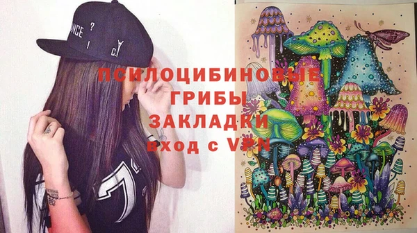 крисы Армянск